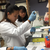 Students in lab