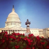 U.S. Capital Building