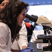Researcher looking into a microscope