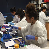 student conducting research in the lab